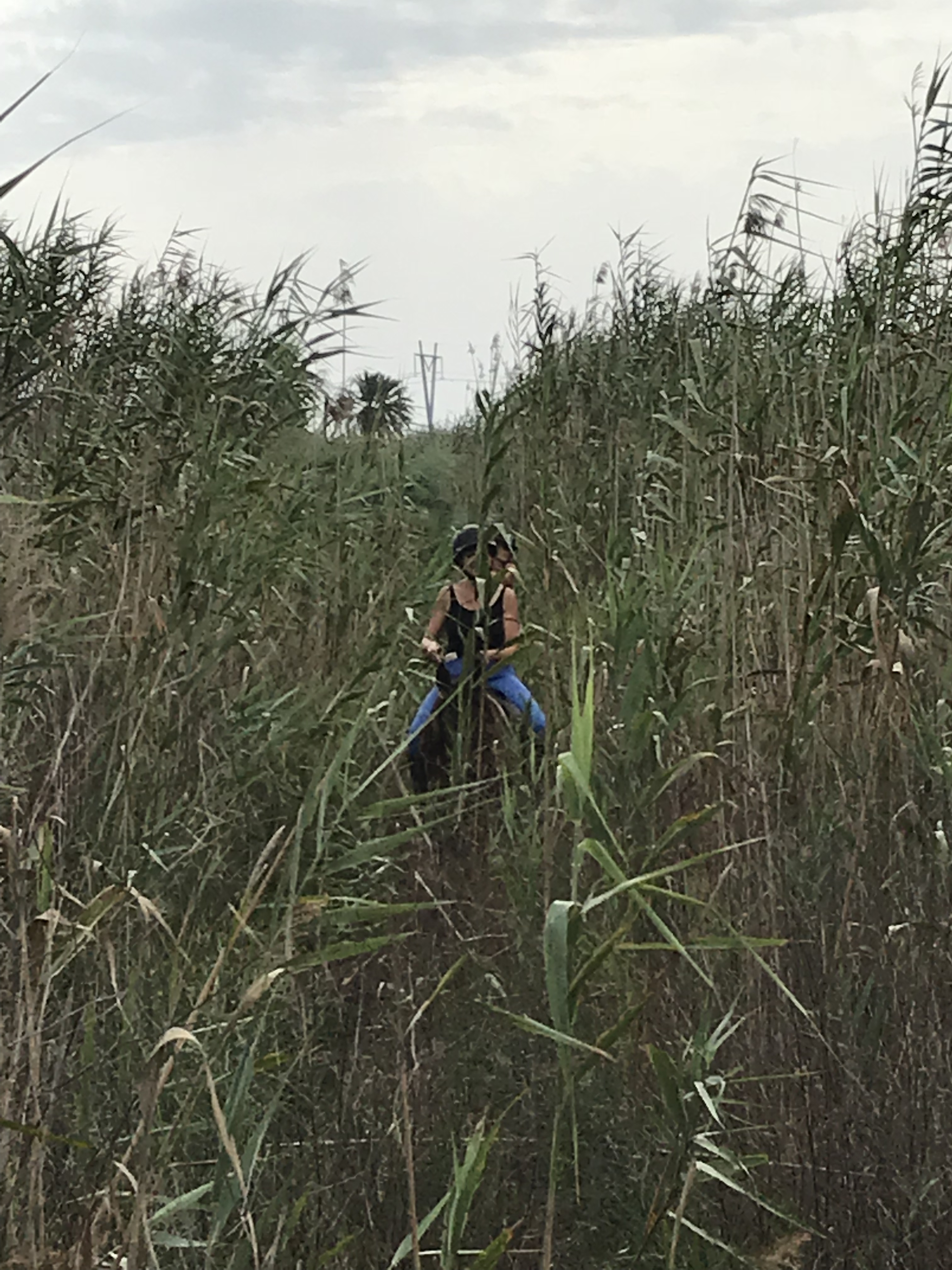 Foto 09.09.18, 10 40 34 (1)